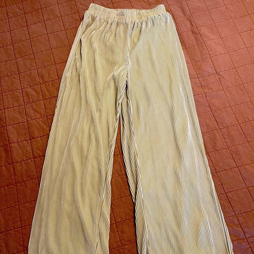 Vici pleated wide leg pants
